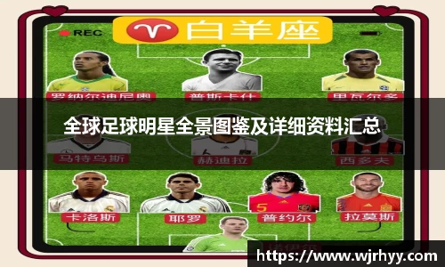 全球足球明星全景图鉴及详细资料汇总
